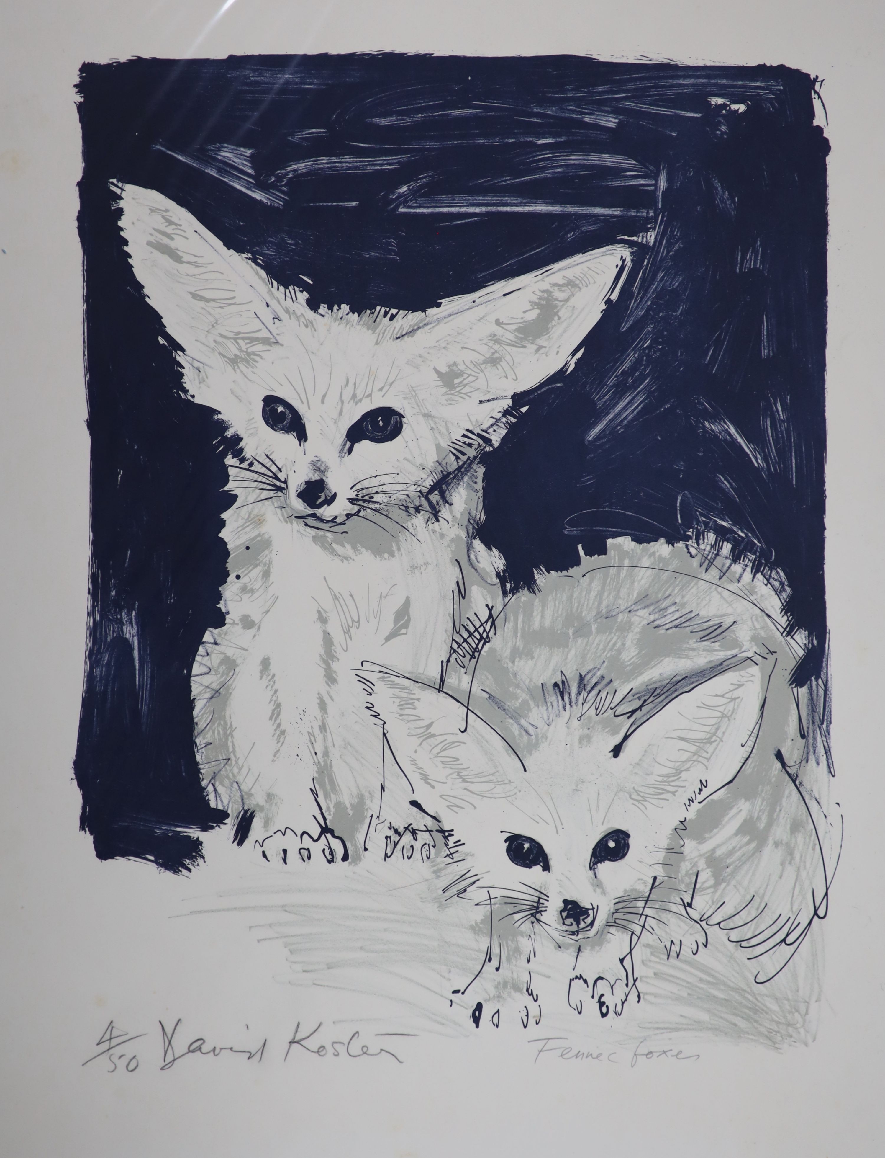 David Koster (1926-2014), four unframed limited edition prints; monkeys, Fennec Foxes, Ringtail Lemurs & Cervals, all signed, largest 80 x 58cm.